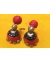 Handpainted Terracotta Jewellery – Ear rings Handpainted Terracotta Jewellery – Ear rings